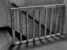 hanging_on_reduced